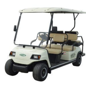 A4 +2 golf cart